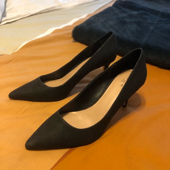 Call it Spring, snake print black heels. Never worn! Size 8.5 - Picture 1 of 3